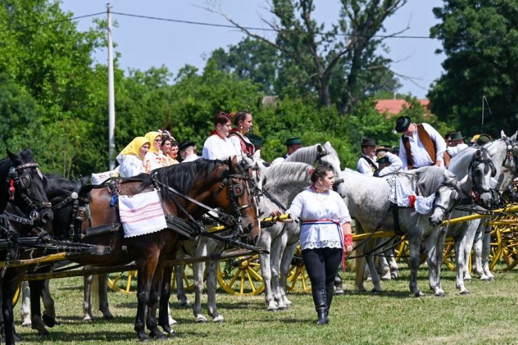 Slika /slike/Priopcenja/bj (4).jpg